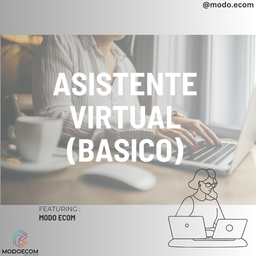 ASISTENTE VIRTUAL (BASICO)